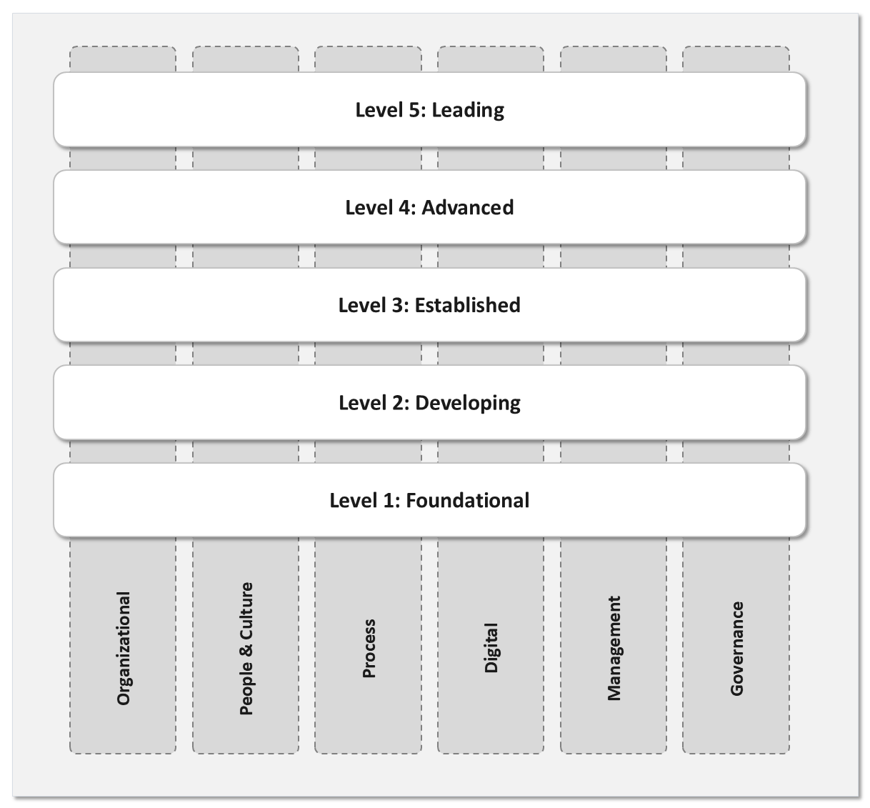 A matrix worksheet. Six vertical dimension columns run across the bottom: organizational, people and culture, process, digital, management and governance. Five horizontal bands rise up the sheet: level 1 foundational, level 2 developing, level 3 established, level 4 advanced, level 5 leading.